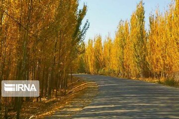 Autumn beauties in Miandoab County northwestern Iran