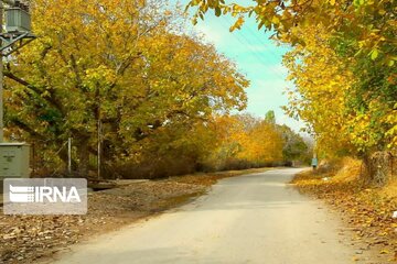 Autumn beauties in Miandoab County northwestern Iran