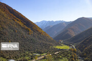 Autumn beauties in Sari north of Iran