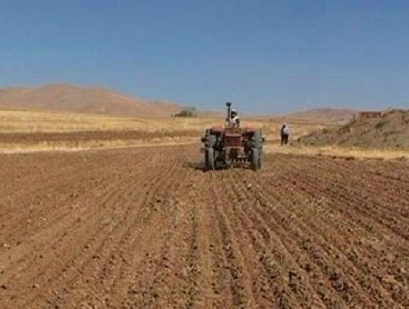 تاخیر در بارندگی اثری بر کشت پاییزه در کهگیلویه و بویراحمد نداشته است 
