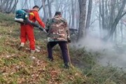 پایش مهار آتش در جنگل توسکستان آغاز شد