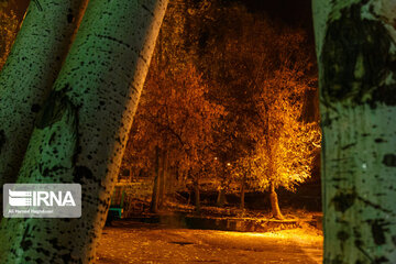 Autumn rainfall in Northwestern Iran; Tabriz