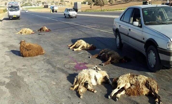 ۲ دستگاه اتوبوس در خراسان شمالی دچار حادثه شدند