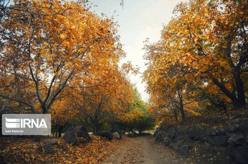 fall in Iran