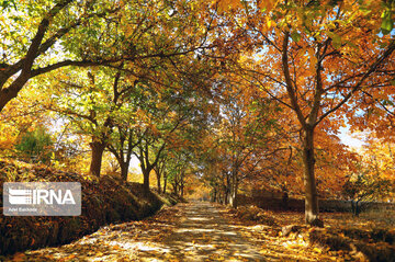 fall in Iran