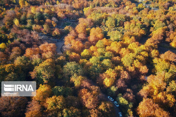 fall in Iran