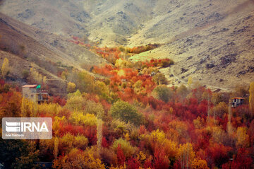 fall in Iran