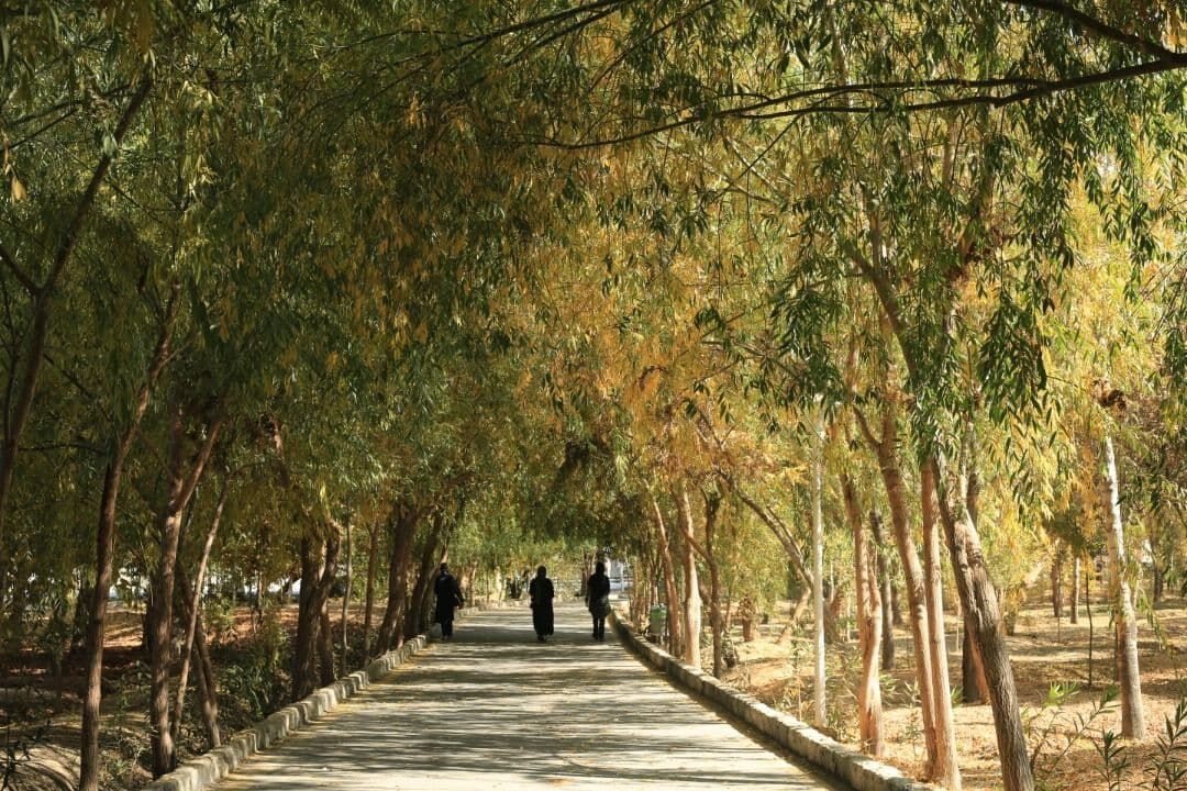 اصفهان در تنگنای توسعه شهری و   نابودی فضاهای سبز