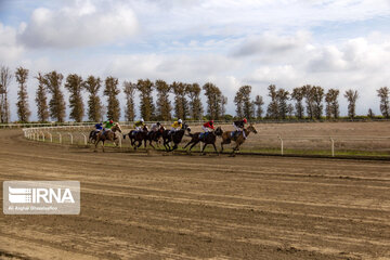 6ª semana del Curso de Equitación en Gonbade-Kavus