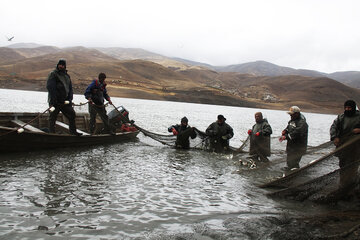 صید ماهی از دریاچه سد مهاباد آغاز شد