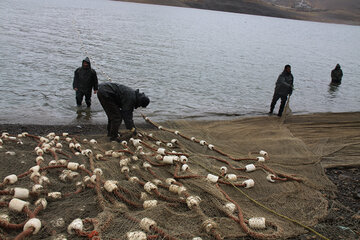 صید ماهی در دریاچه سد مهاباد