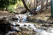 موسم خزان میں ایرانی شہر یاسوج میں آبشار کی خوبصورتیاں