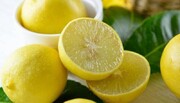 Yahrom ha exportado 70 toneladas de limones dulces a Europa
