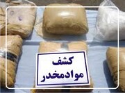 حدود ۵۰ کیلوگرم ماده مخدر تریاک در شهرستان نهاوند کشف و ضبط شد