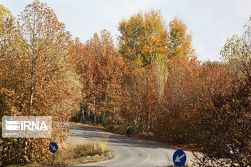 图说伊朗加兹温山区秋景