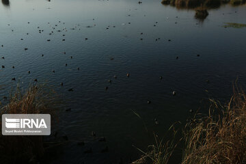 Le lac Zaribar, un eldorado pour les oiseaux migrateurs

