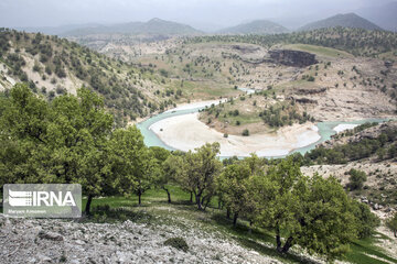 Zagros dağlarında meşe ormanları