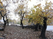 Nature of Iran's Quri Qaleh Village in autumn