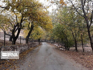 Nature of Iran's Quri Qaleh Village in autumn