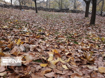 Nature of Iran's Quri Qaleh Village in autumn