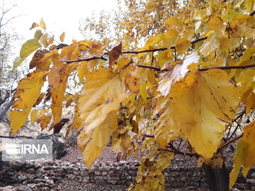 Nature of Iran's Quri Qaleh Village in autumn