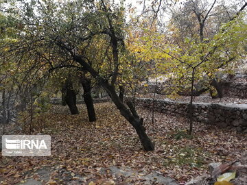 Nature of Iran's Quri Qaleh Village in autumn