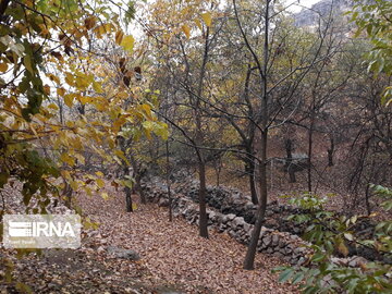 Nature of Iran's Quri Qaleh Village in autumn