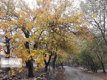 Nature of Iran's Quri Qaleh Village in autumn