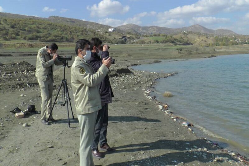 زیستگاه پرندگان مهاجر در خوسف پایش شد