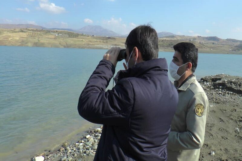 مورد مثبت آنفلوانزای پرندگان در سردشت مشاهده نشد