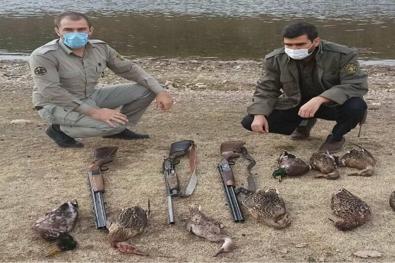 ۳ شکارچی متخلف در شاهین‌دژ دستگیر شدند