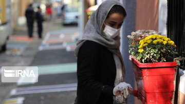 Colorful Alley in Iran's Tehran District 9