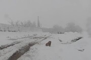 بارش شدید برف برق ۲۰ روستای سقز را قطع کرد