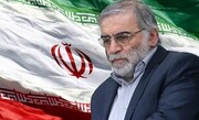Destacado físico iraní, asesinado en un atentado terrorista