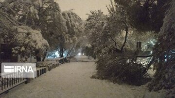 Autumn snowfall in western Iran