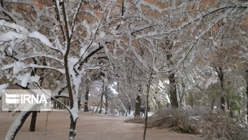 Autumn snowfall in western Iran