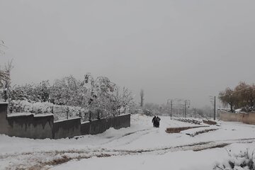 جلوه هایی از طبیعت برفی اشنویه