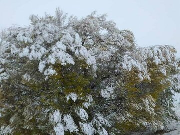 زمستان در روستای میدان مظفرخان بیجار