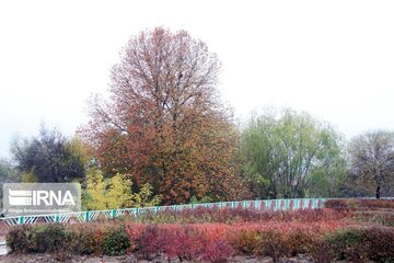 Autumn rainfall in Wwestern Iran; Boroujerd