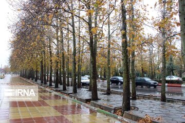 Autumn rainfall in Wwestern Iran; Boroujerd