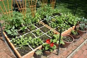 بازگشت باغچه سبزیجات به خانه‌های روستایی مازندران