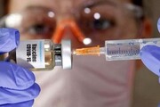 تولید واکسن کووید با استفاده از واکسن تب زرد