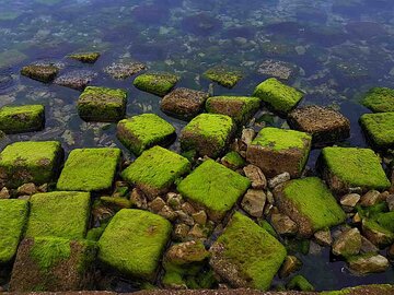 Las rocas verdes de Bushehr