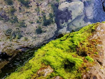 Las rocas verdes de Bushehr