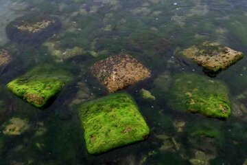 Las rocas verdes de Bushehr