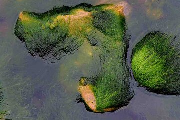 Las rocas verdes de Bushehr