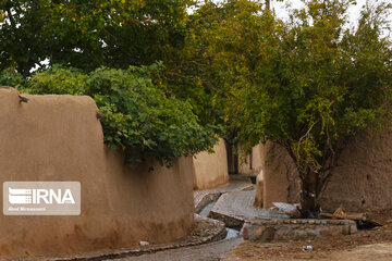 Enjila Garden alley in Fall in centeral Iran; Semnan