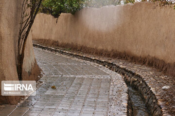 Enjila Garden alley in Fall in centeral Iran; Semnan