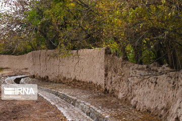 Enjila Garden alley in Fall in centeral Iran; Semnan