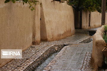 Enjila Garden alley in Fall in centeral Iran; Semnan